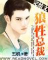 龙珠之绫叶传奇TXT下载