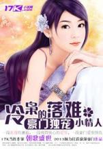大豪门小说
