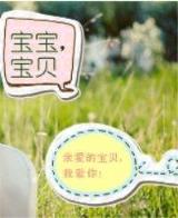 魔法公主TXT下载