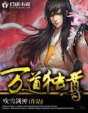 兵王传奇TXT下载