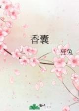 娱乐女教皇