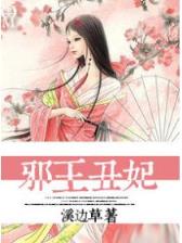 山寨熊猫